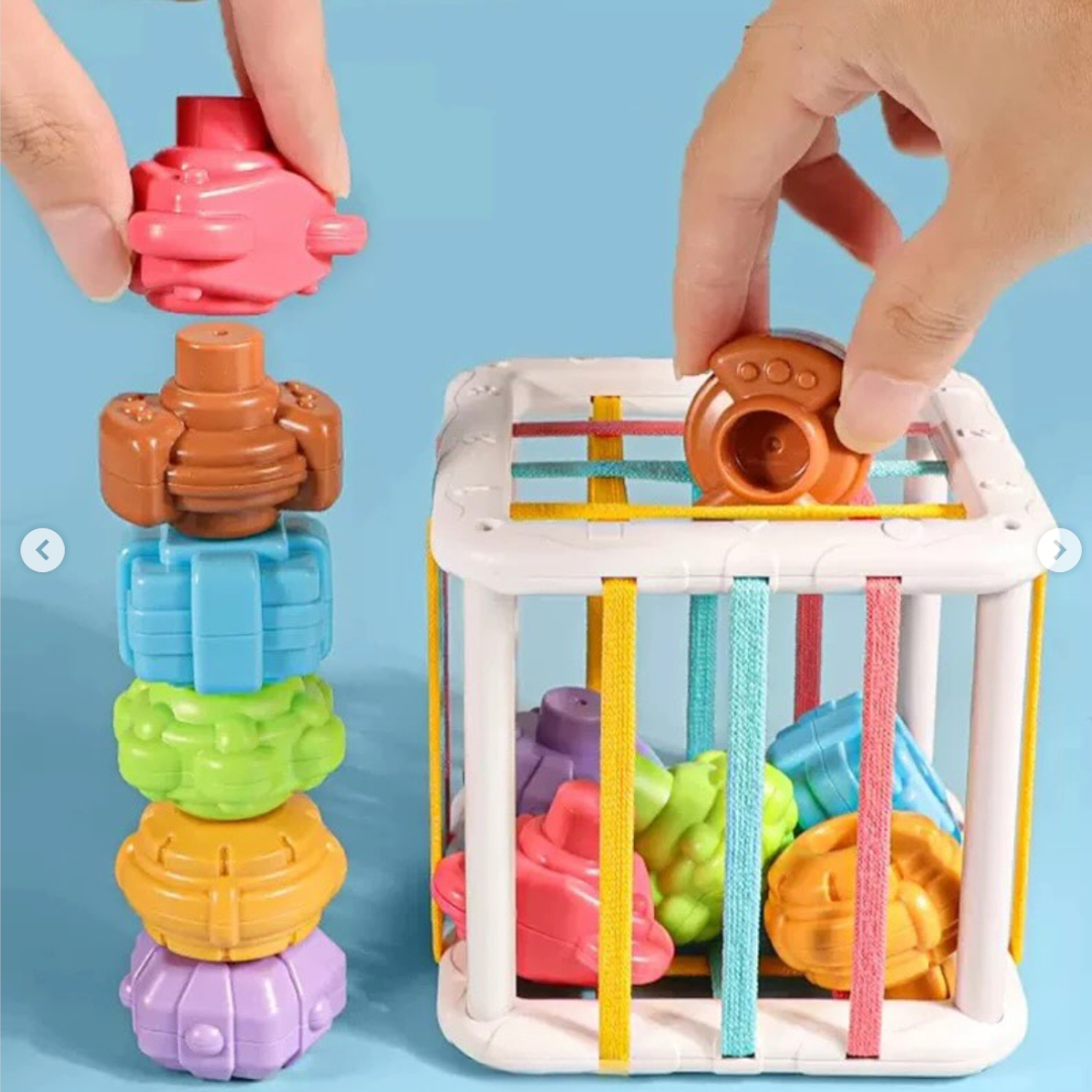 Shape Sorting & Stacking Sensory Toy