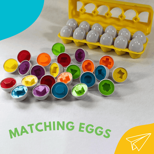Paired Smart Egg - Little Explorers