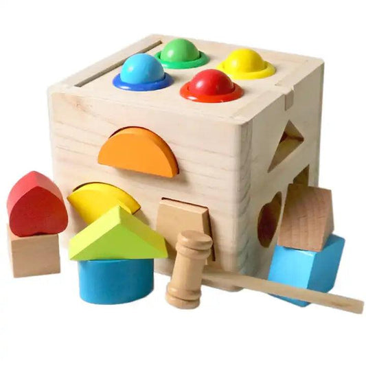 Shape Matching Box - Little Explorers